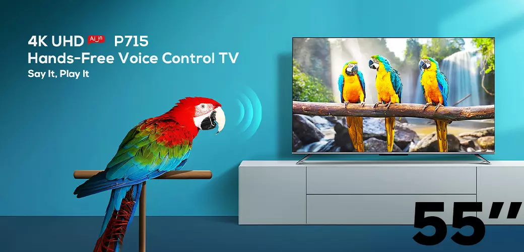 Smart TV Tunisie 