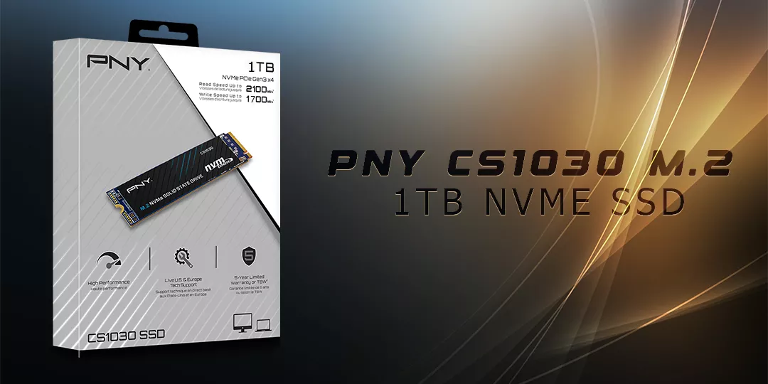 DISQUE DUR : DISQUE DUR INTERNE SSD PNY CS1030 M.2 1 TO NVME