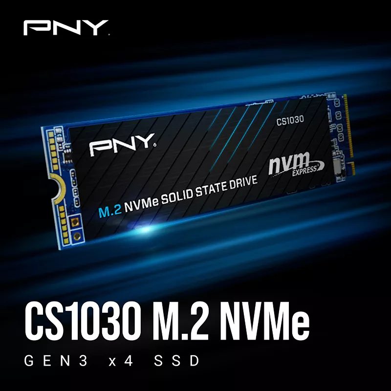 PNY CS1030 M.2 NVMe SSD 250GB ( R:2500 MB/s - W:1100 MB/s )