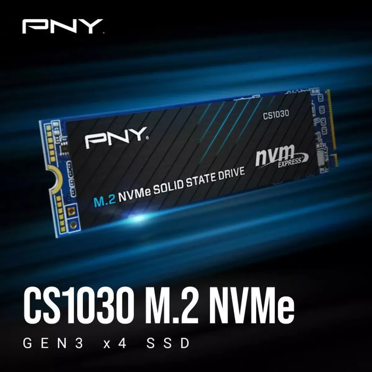PNY CS1030 M.2 1TB NVME SSD ( R:2100 MB/s - W:1700 MB/s )