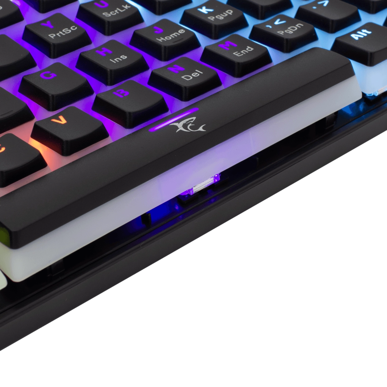 Clavier Gaming mécanique Cherry Mx Switch, bleu translucide, Koi